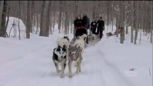 Notre zone d'activité pour ce service Accompagnement famille et enfant avec maladie grave